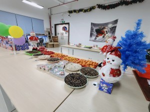 “多國風(fēng)采、別具風(fēng)格”的的圣誕節活動(dòng)
